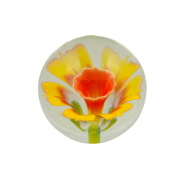 Floral Marble - Daffodil