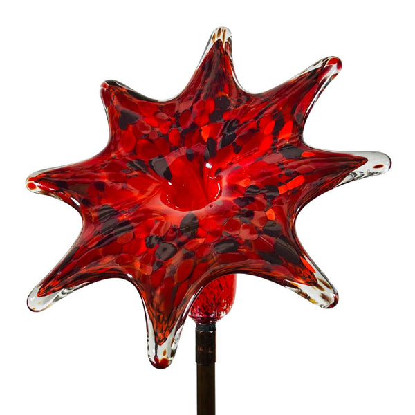 CS Garden Flower - Rugburn