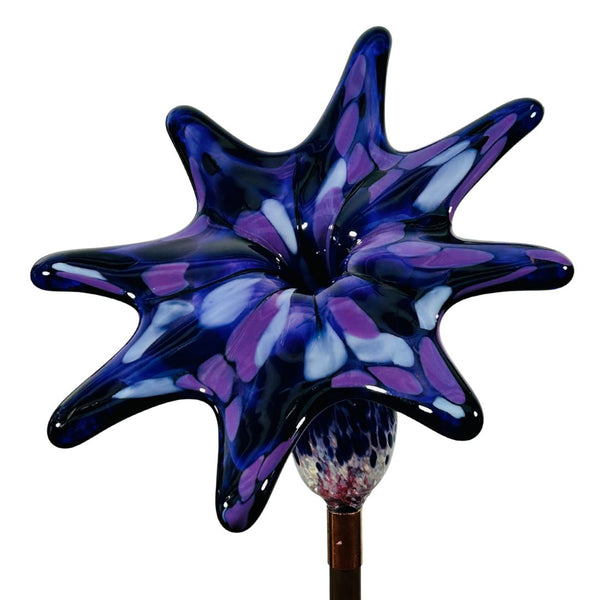 CS Garden Flower - Shaneberry