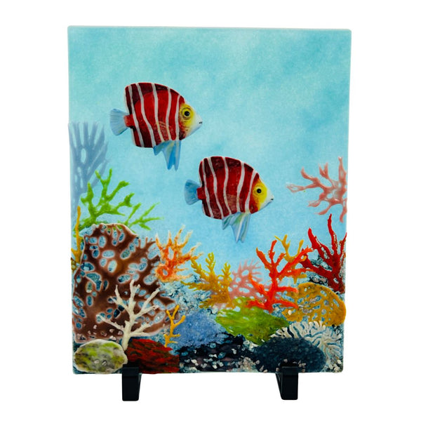 Peppermint Angelfish on Reef