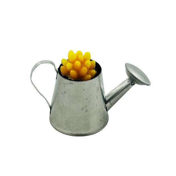 Mini Galvanized Watering Can Glass Succulent - 01