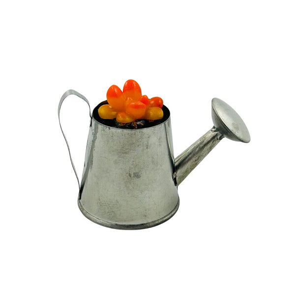 Mini Galvanized Watering Can Glass Succulent - 04