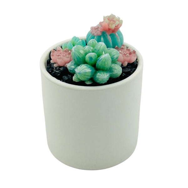 Tall White Round Pot Glass Succulents - 01