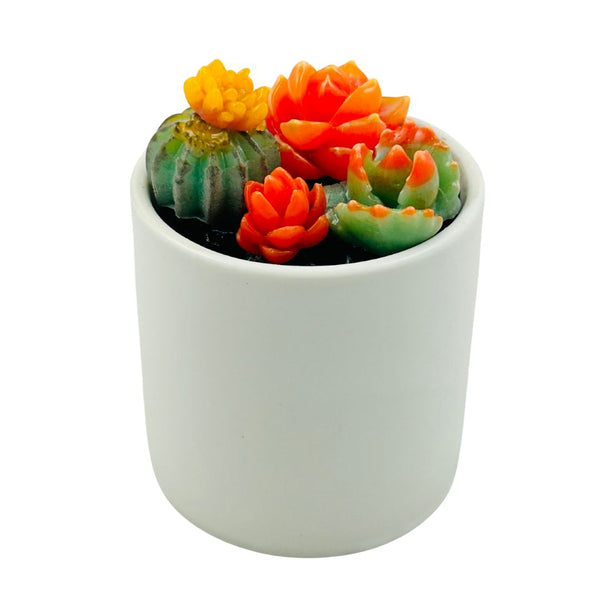 Tall White Round Pot Glass Succulents - 02