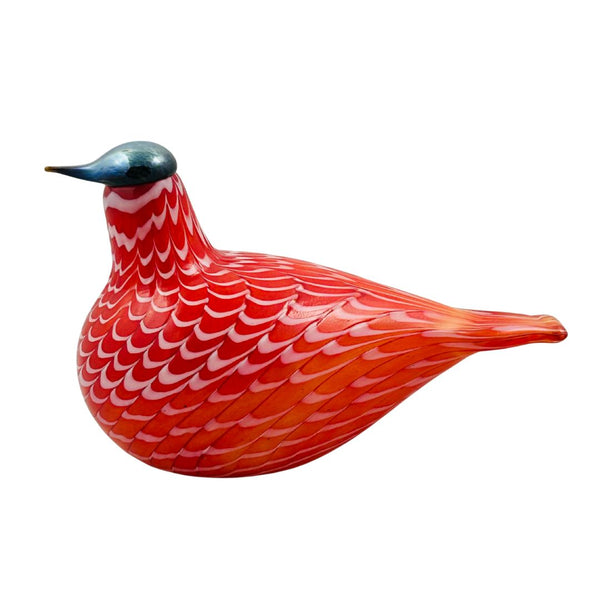 Cecil Red Grouse
