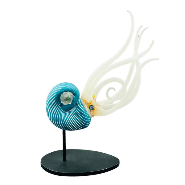 Nautilus - Ocean Blue