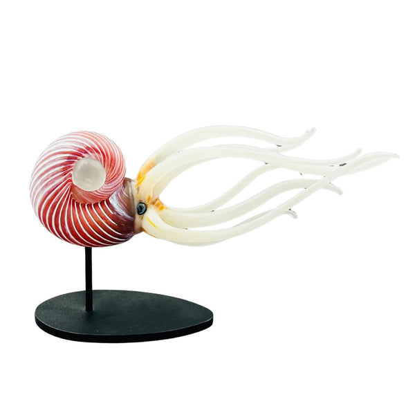 Nautilus - Reef Red