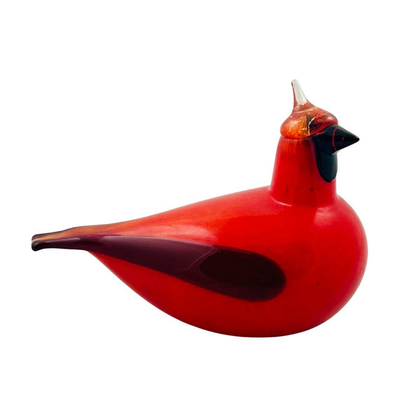 Red Cardinal (Kardinaali)