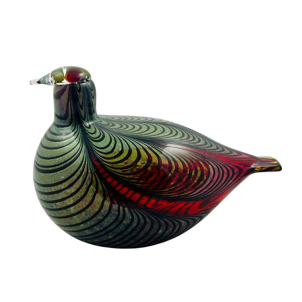 Pheasant (Fasaani)