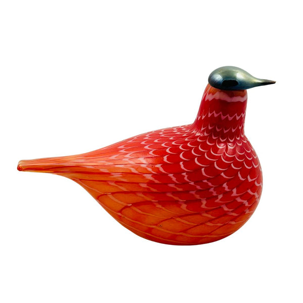 Cecil Red Grouse