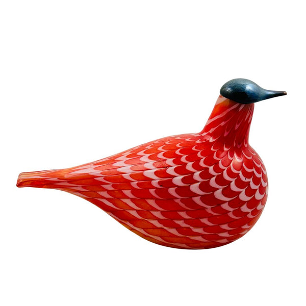 Cecil Red Grouse