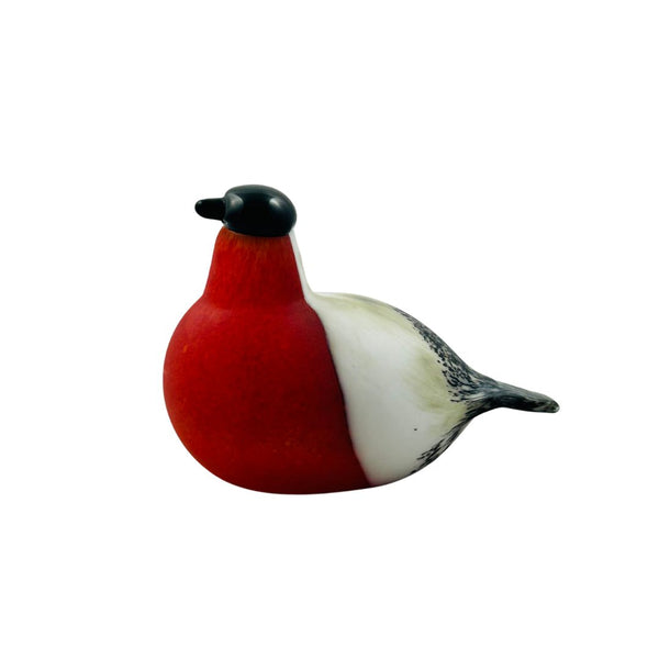 Bullfinch, red (Punatulkku, punainen)