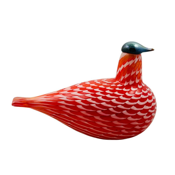 Cecil Red Grouse