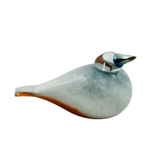 Siberian Jay (Siperian Kuukkeli)