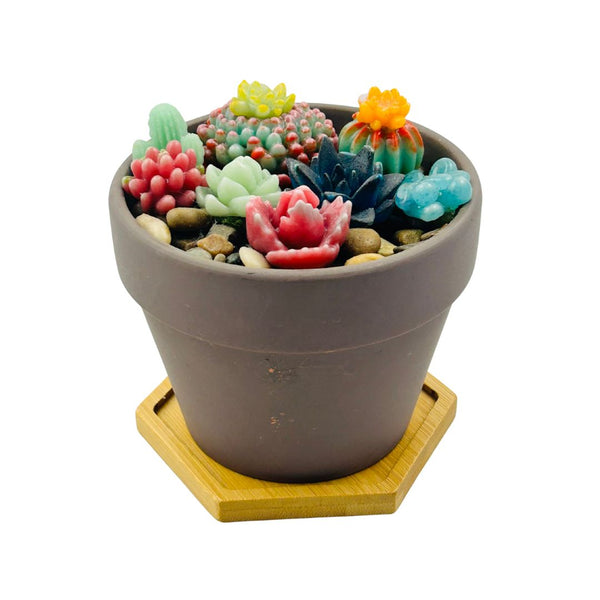 Grey Flower Pot w/ Glass Succulents