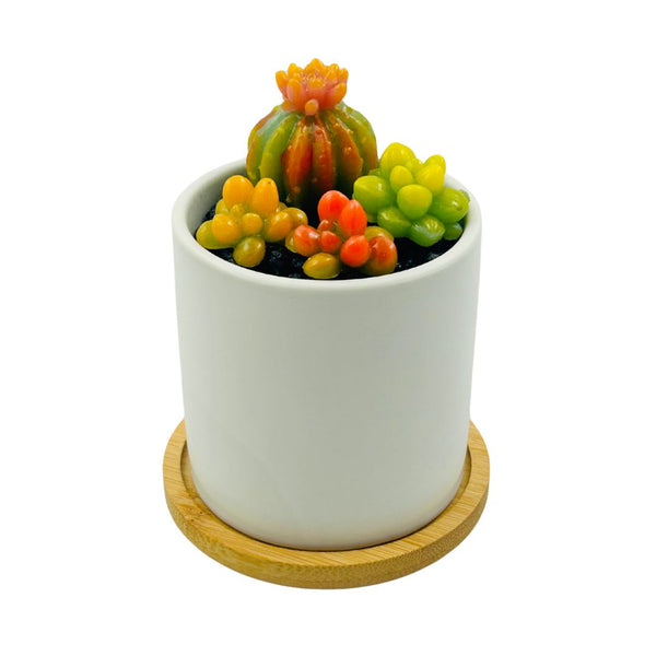Round White Glass Succulent Vase - 02