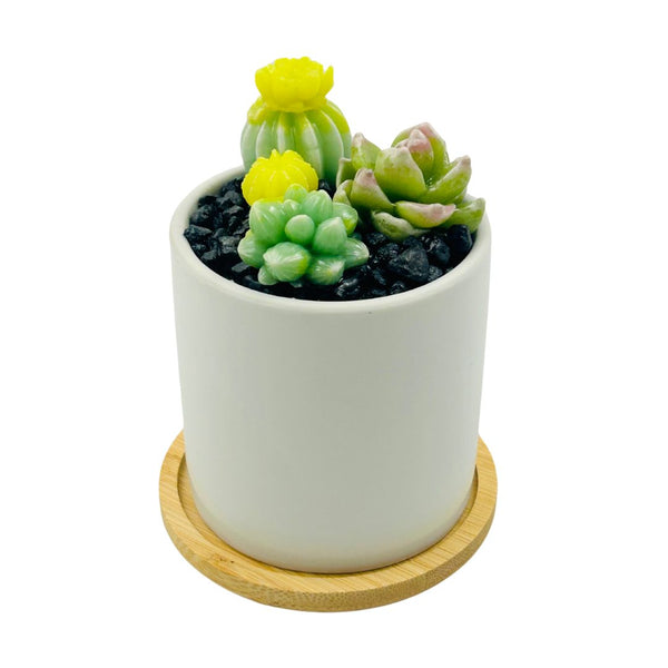 Round White Glass Succulent Vase - 01