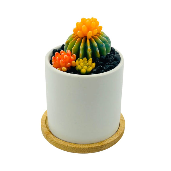 Round White Glass Succulent Vase - 04
