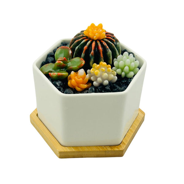 Large Glass Succulent Hex Pot - 01