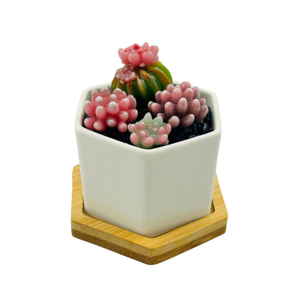 Small Glass Succulent Hex Pot - 01