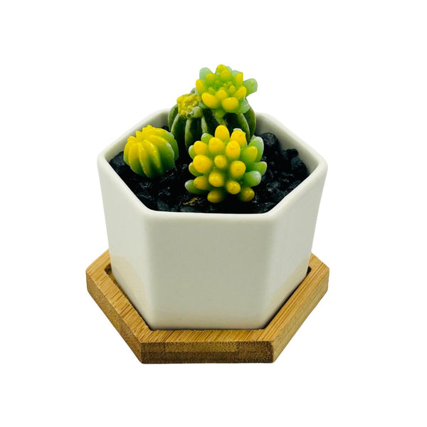 Small Glass Succulent Hex Pot - 02