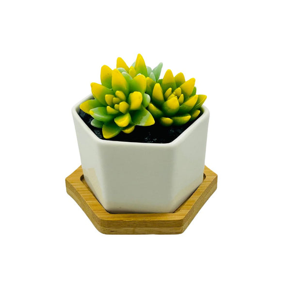 Small Glass Succulent Hex Pot - 04