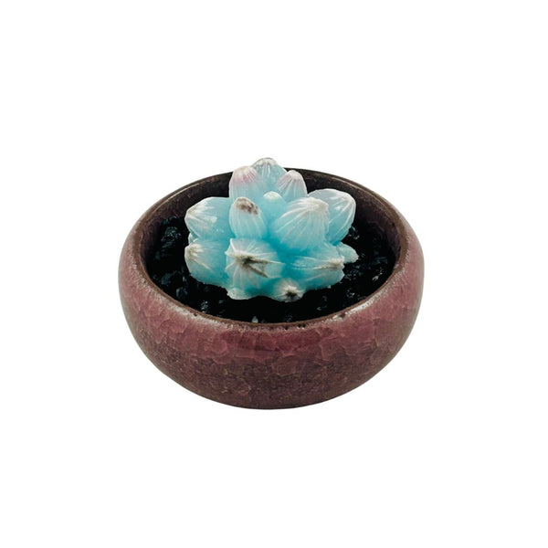 Colored Bonsai Pot Glass Succulent - 04