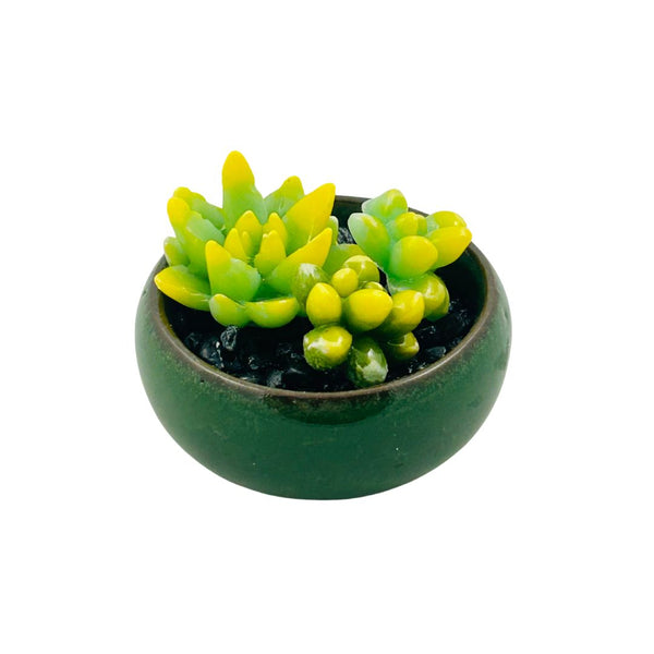 Colored Bonsai Pot Glass Succulent - 05