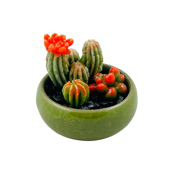 Colored Bonsai Pot Glass Succulent - 07