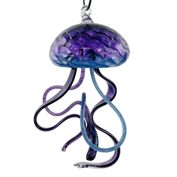 Hanging Jellyfish - Pacific Coast Swimmer