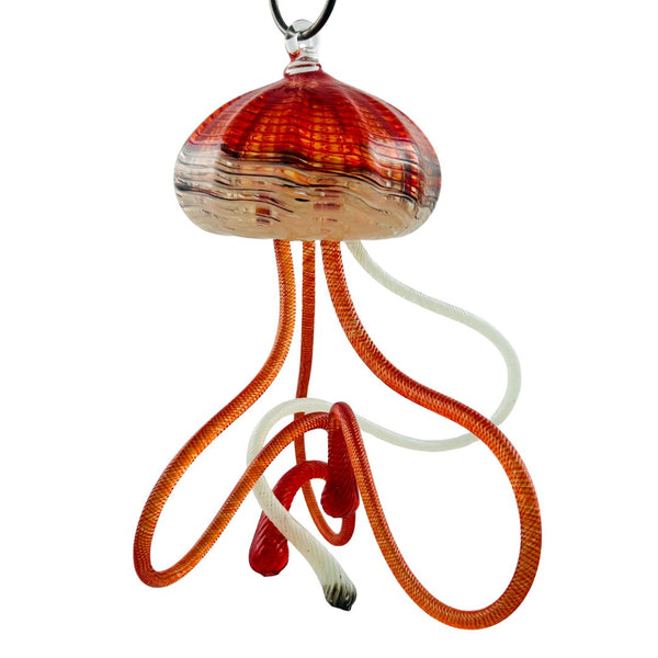 Hanging Jellyfish - Fire Island Swimmer