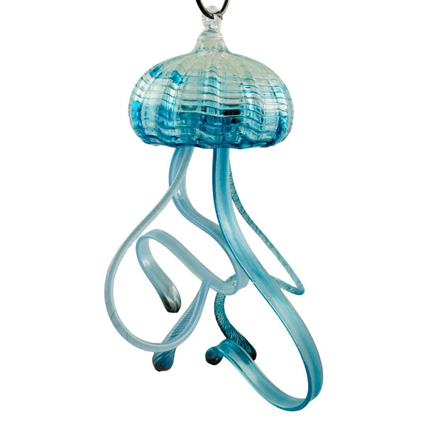 Hanging Jellyfish - Owen Beach Swimmer