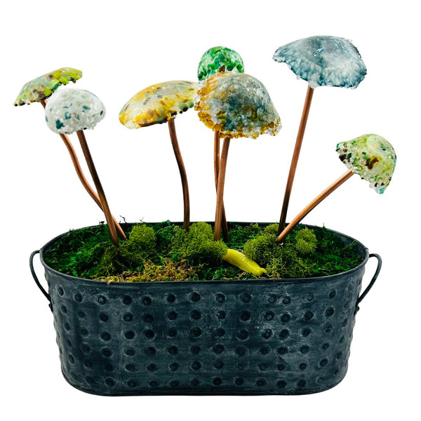 7 Mushroom Black Galvanized Tub w/ Slug