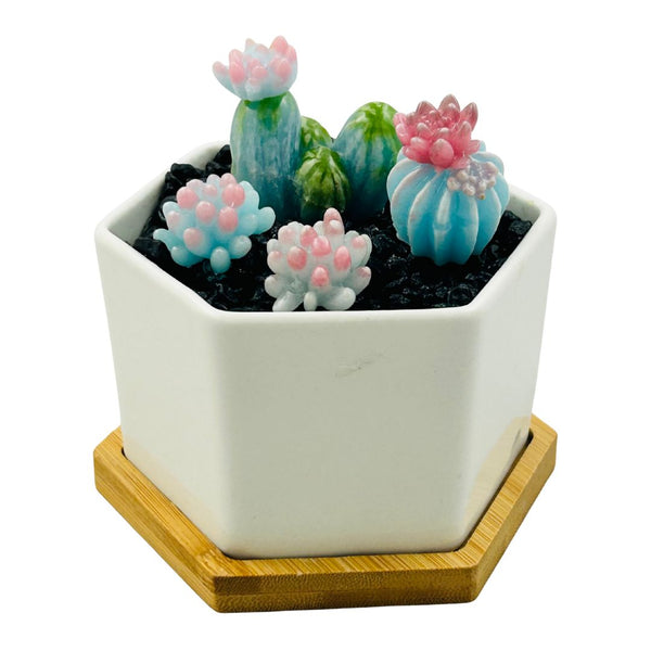 Large Glass Succulent Hex Pot - 02