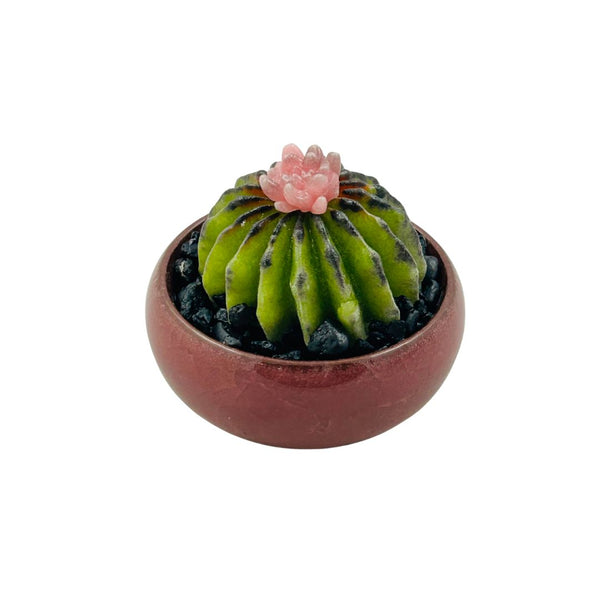 Colored Bonsai Pot Glass Succulent - 07