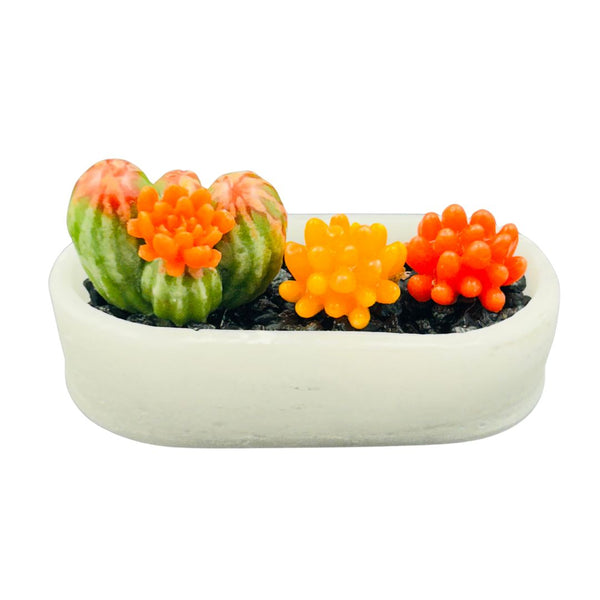 Pâte de Verre Pot Glass Succulents - 06