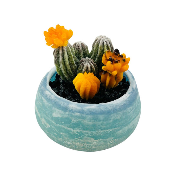 Pâte de Verre Pot Glass Succulents - 07