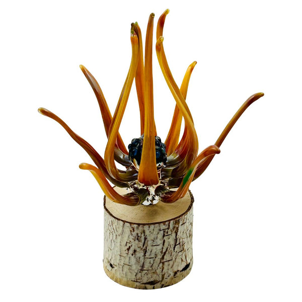 The Water Blossom Flower - Small Amber