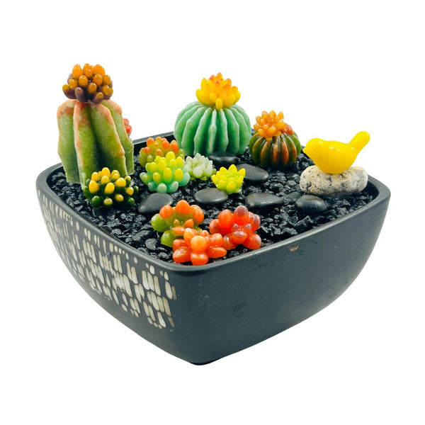Square Ceramic Pot w/ Succulents