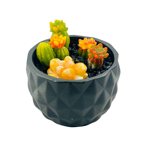 Large Ceramic Pot w/ Succulents - 03