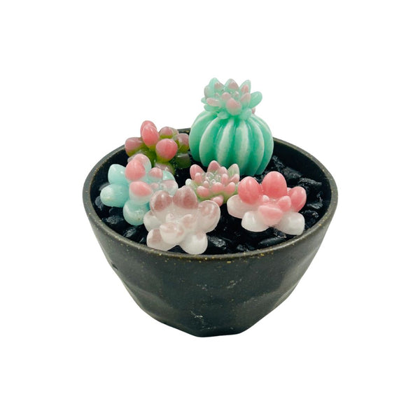 Large Ceramic Pot w/ Succulents - 06