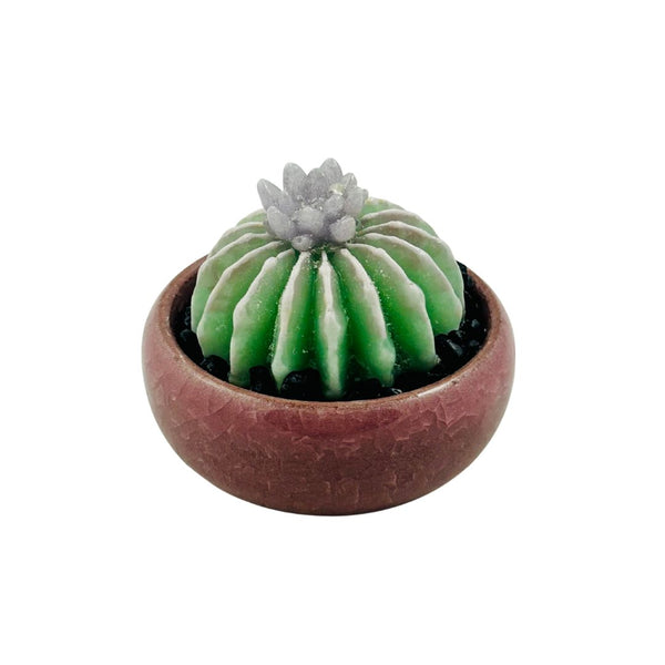 Colored Bonsai Pot Large Glass Succulent - 01