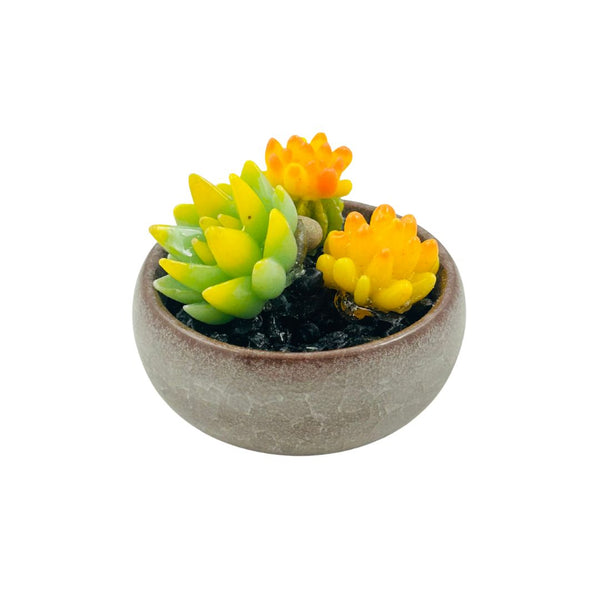 Colored Bonsai Pot  w/ Multi Glass Succulents - 02