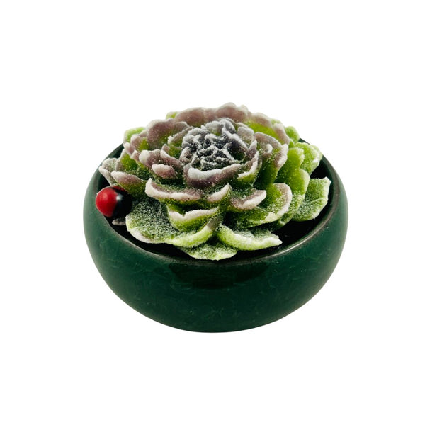Colored Bonsai Pot Glass Succulent w/ Ladybug - 01