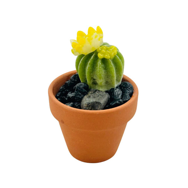 Mini Terra Cotta Glass Succulent - 08