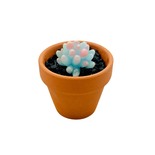 Mini Terra Cotta Glass Succulent - 09