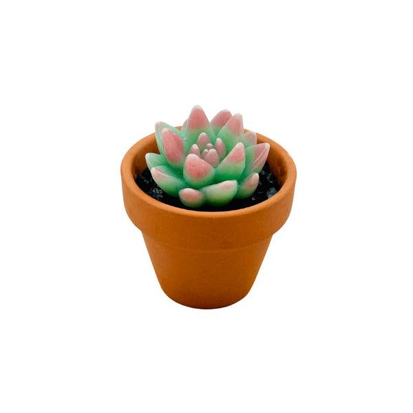 Mini Terra Cotta Glass Succulent - 10