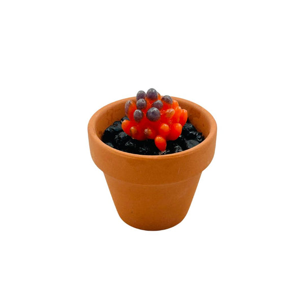 Mini Terra Cotta Glass Succulent - 11