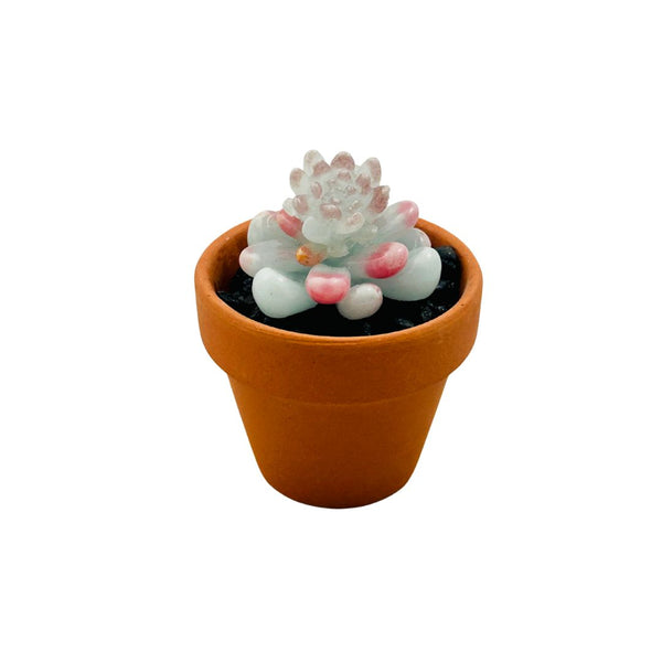 Mini Terra Cotta Glass Succulent - 12