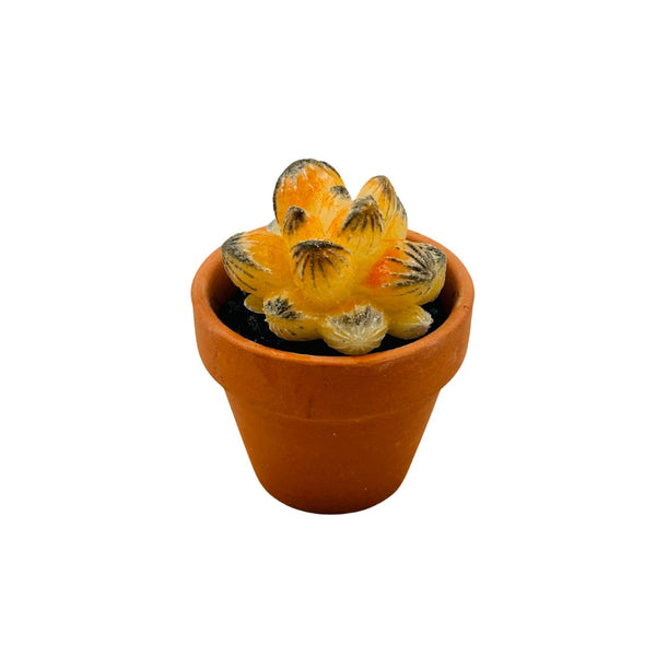 Mini Terra Cotta Glass Succulent - 14
